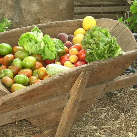Agriturismo Del Monte Porto Azzurro