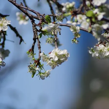 Del Monte Séjour à la ferme *