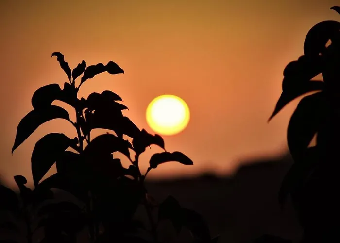 Del Monte Farmház *