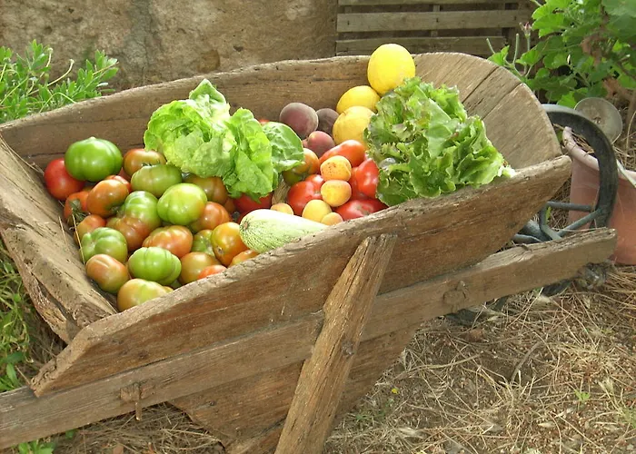 Del Monte פורטו אזורו