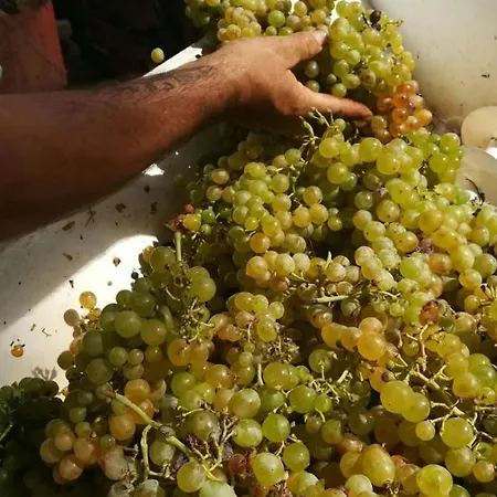 Del Monte Farma Porto Azzurro