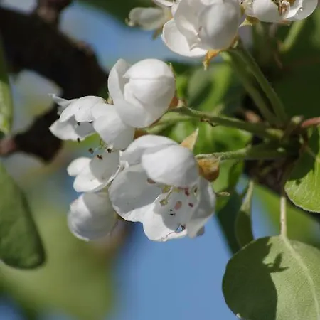 Farma Del Monte Porto Azzurro
