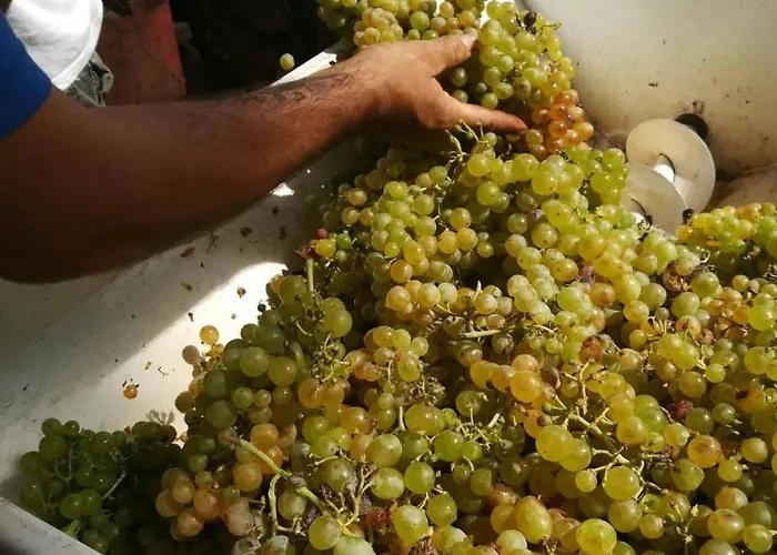 Del Monte Vakantieboerderij Porto Azzurro